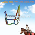 top quality coloful horse bridle